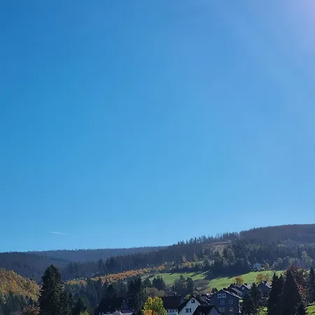 Gaestehaus Nietmann 9 Altenau (Lower-Saxony)